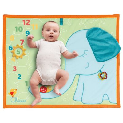 Chicco Playmat Picture ECO+