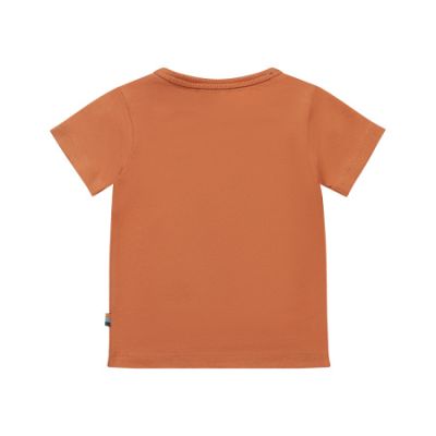 Dirkje T-Shirt Korte Mouw Shark Faded Orange 74