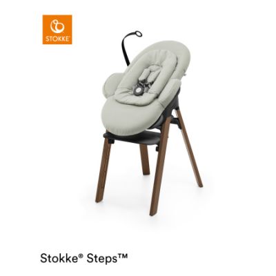 Stokke® Steps™ Bouncer Soft Sage / Black Chassis